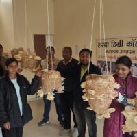 मशरूम उत्पादन पर हरदा डिग्री कॉलेज में प्रशिक्षण कार्यशाला