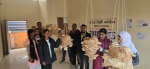 Read more about the article मशरूम उत्पादन पर हरदा डिग्री कॉलेज में प्रशिक्षण कार्यशाला