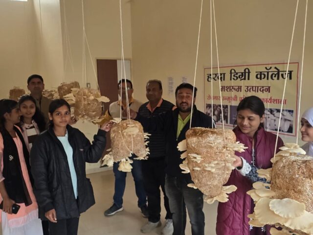 मशरूम उत्पादन पर हरदा डिग्री कॉलेज में प्रशिक्षण कार्यशाला